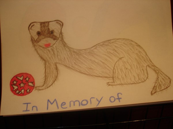 In Memory of