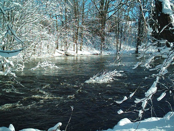 Crystal River