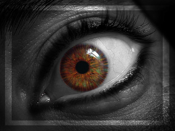 Another Eye