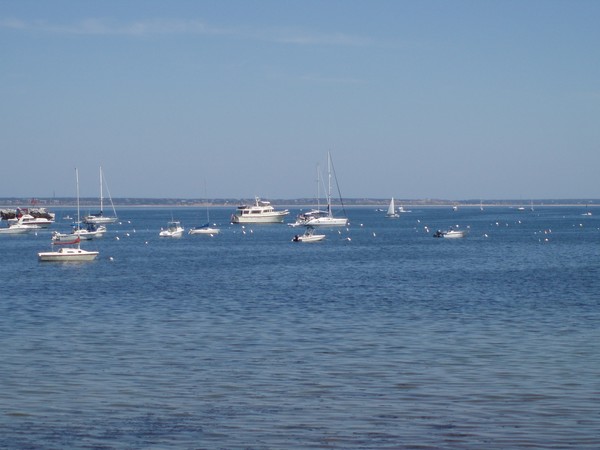 Harbor
