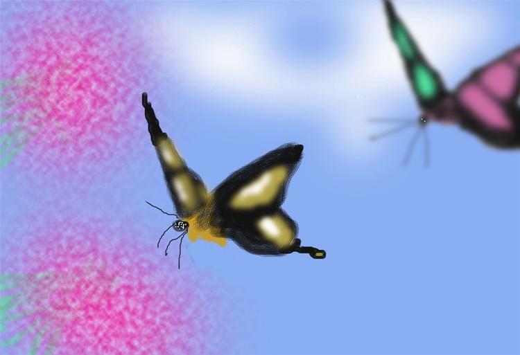 Butterflies Coming in  (O788)