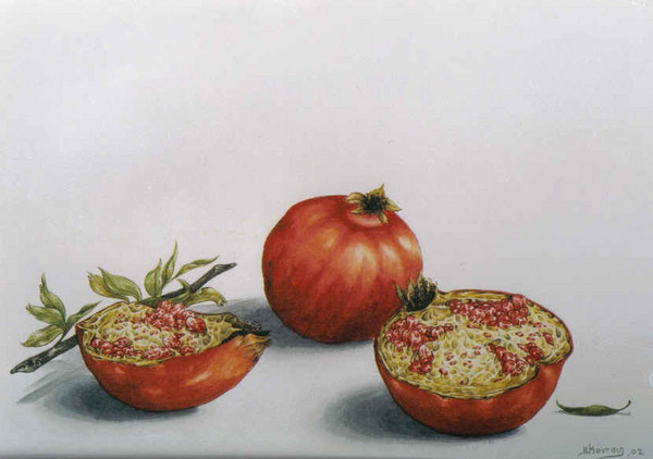 pomegranate cycle I. 
