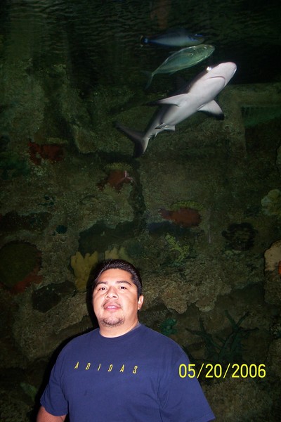 Las Vegas 2006