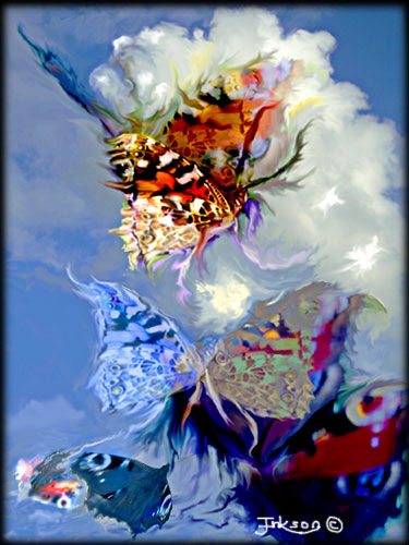 Coming Of The Butterfly