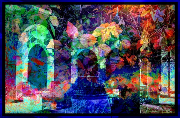 Nature's Courtyard