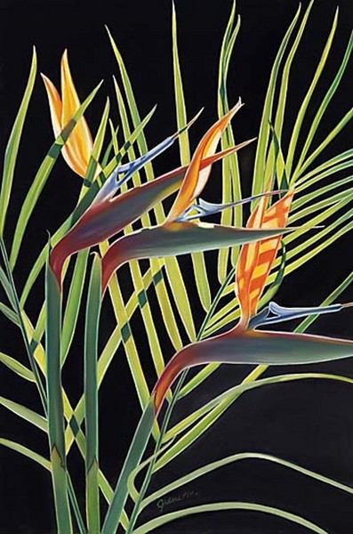 Tropical Delight 1