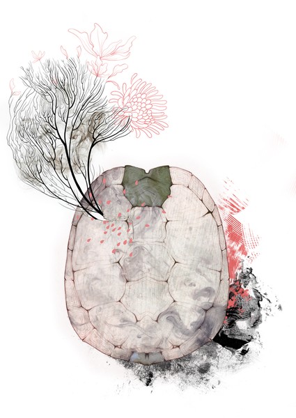 Shell