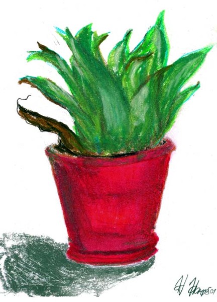 plant v2
