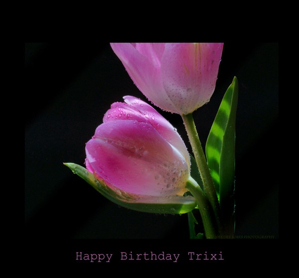 Happy Birthday Trixi