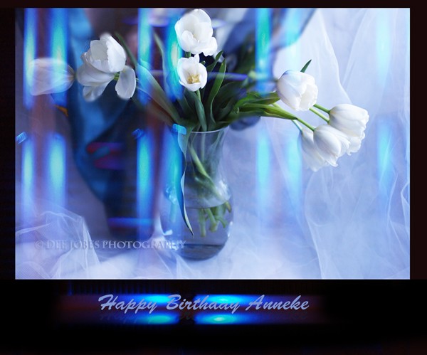 Happy Belated Birthday Anneke