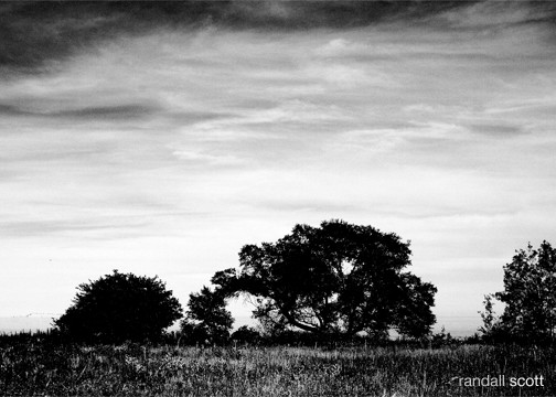 EVENING FALLS