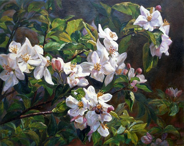 Blossom