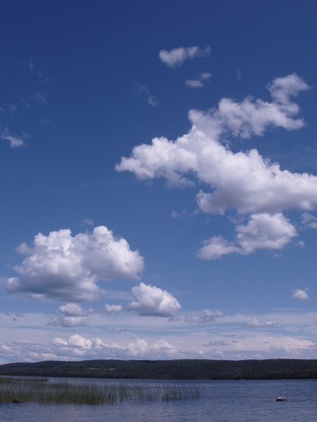 blue skies
