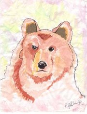 Bear With Us