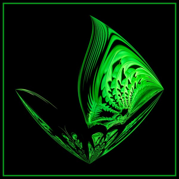 Fern Abstract (Two)