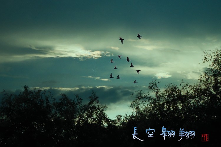 Flying