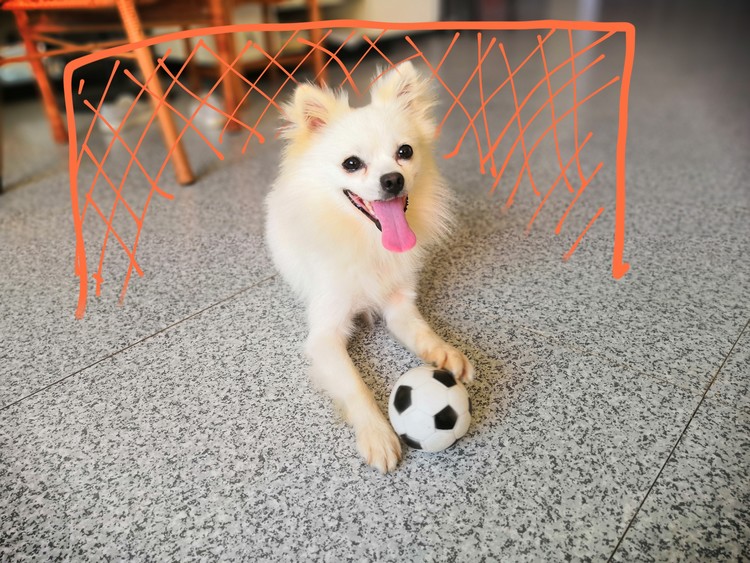 Goalkeeper