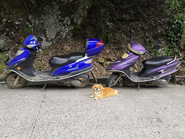 Motorcycle Watcher