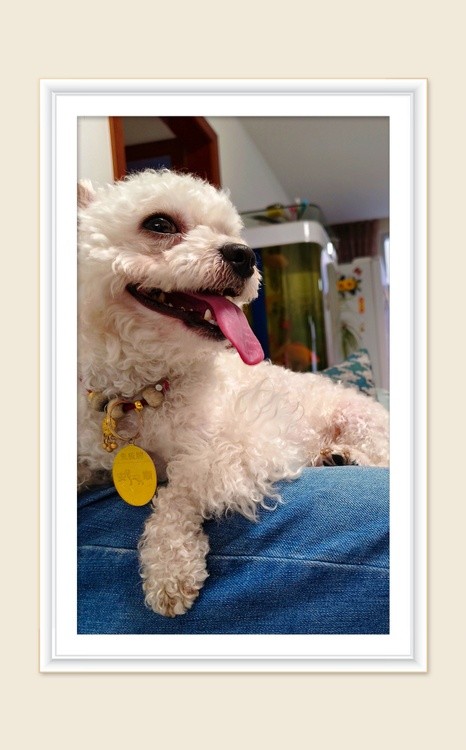the tongue!