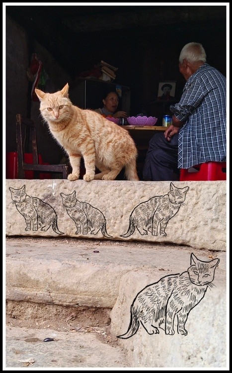 doorcat II