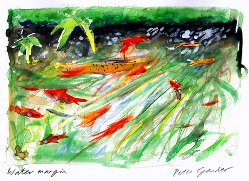 Water margin
