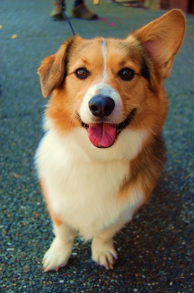 Treat !!!!
