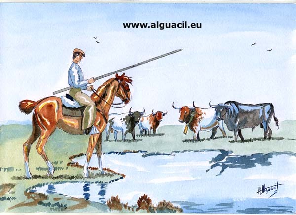 Bulls at the pond.