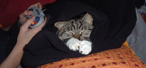 This new game is pretty dull, it only sleeps!