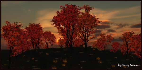 Rhisiart