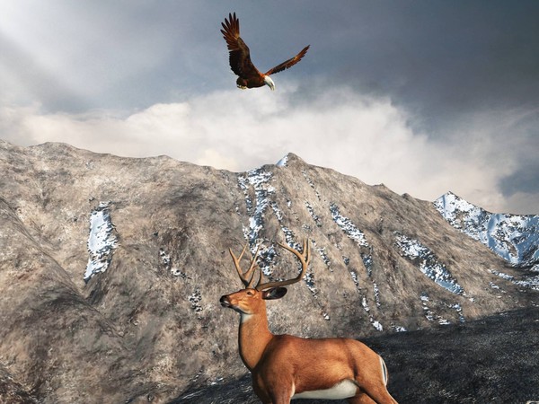 Kings of the Glen