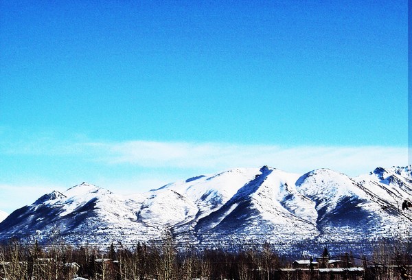 Backtrail View 2