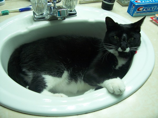 In Sink