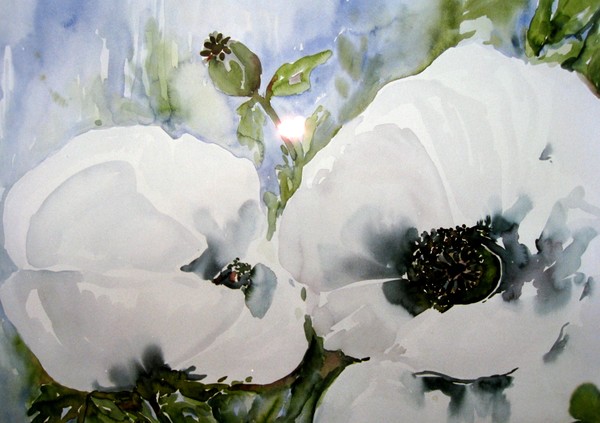WHITE POPPIES