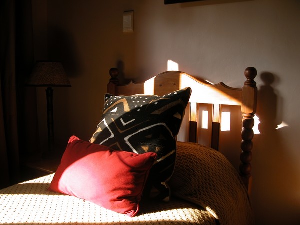 Evening Sunlight