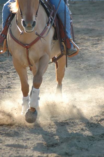 The Trot