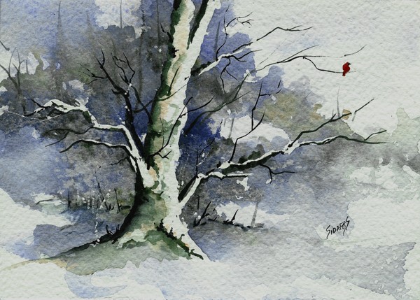 Dusties Tree
