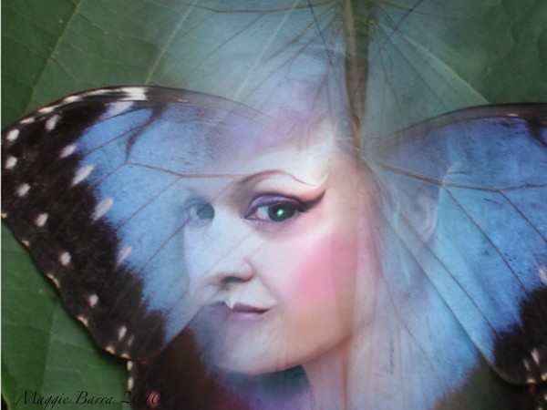 Butterfly Fae