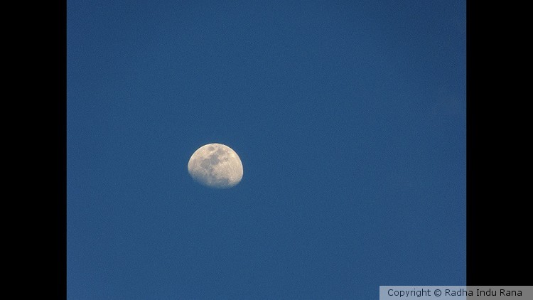 Moaning Moon..