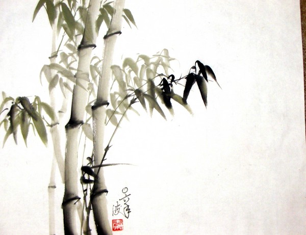Bamboo