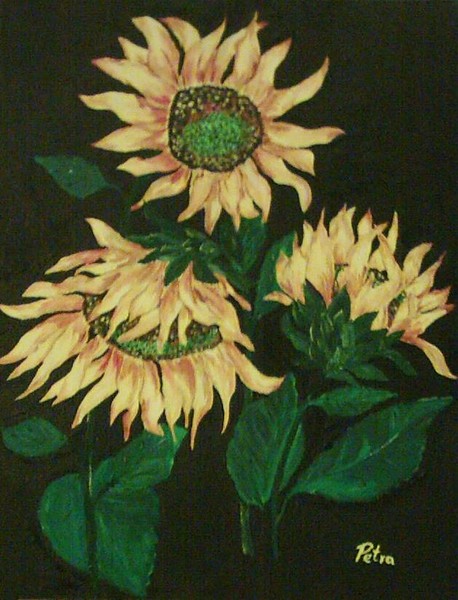 Sonnenblumen (sunflowers)