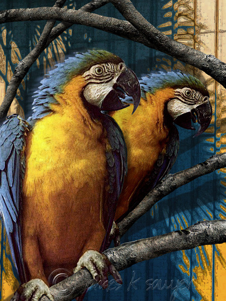 Squawkers