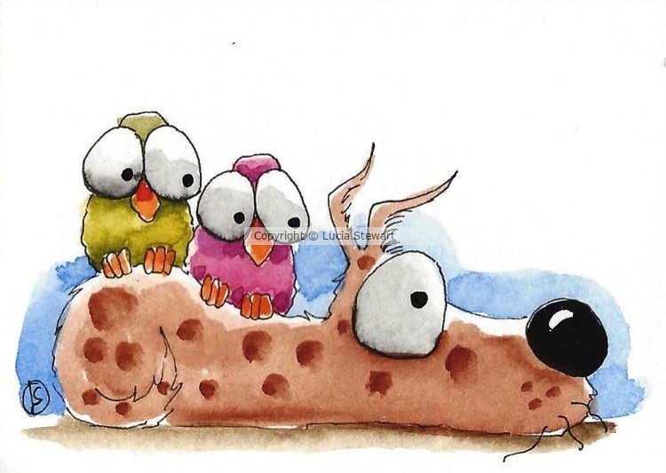 The whimsical birds