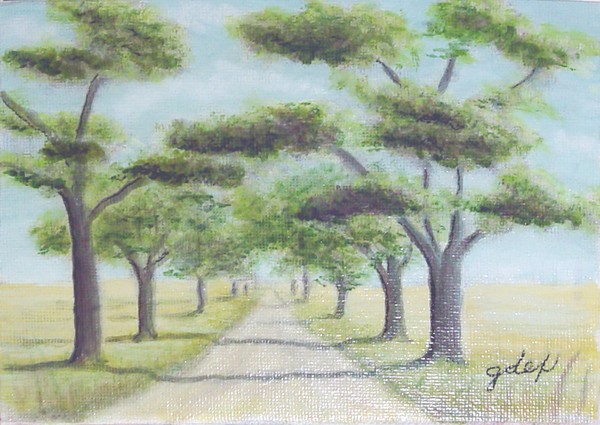Mon chemin - My way
