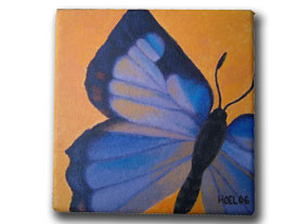 Colorado Hairstreak