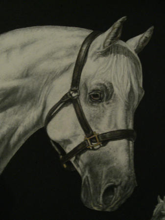 Tareq Close-up 1
