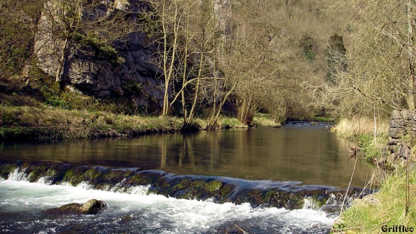 RIVERBANK # 1