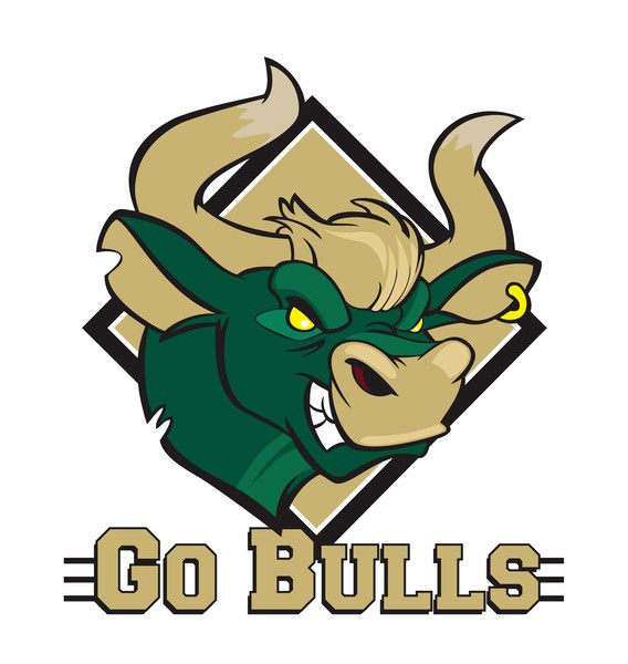 Go Bulls