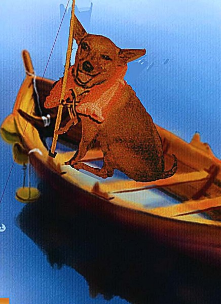 fisbing dog