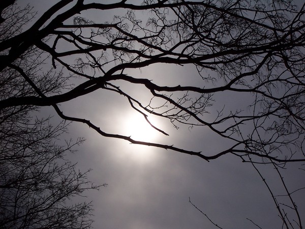 Through clouds