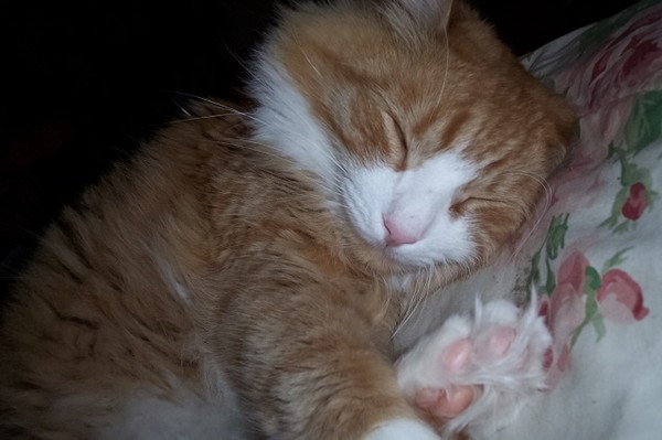 So sleepy